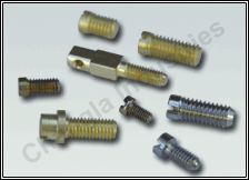 Terminals Screw